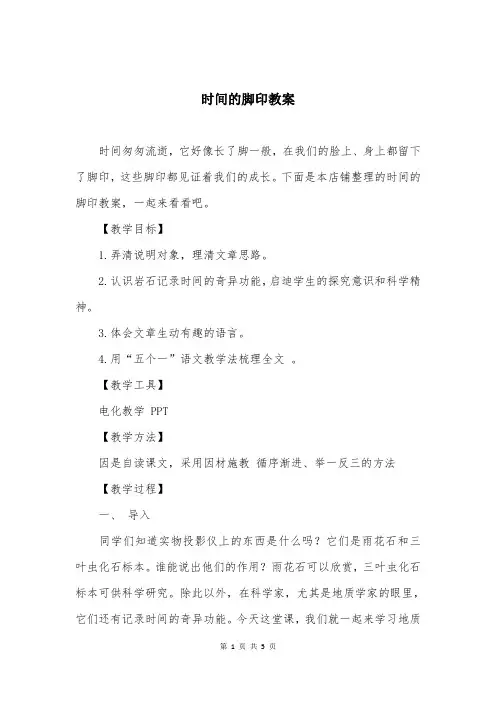 时间的脚印教案