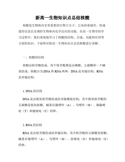 新高一生物知识点总结核酸