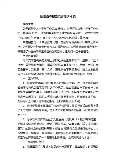 团委自查报告范文精选4篇