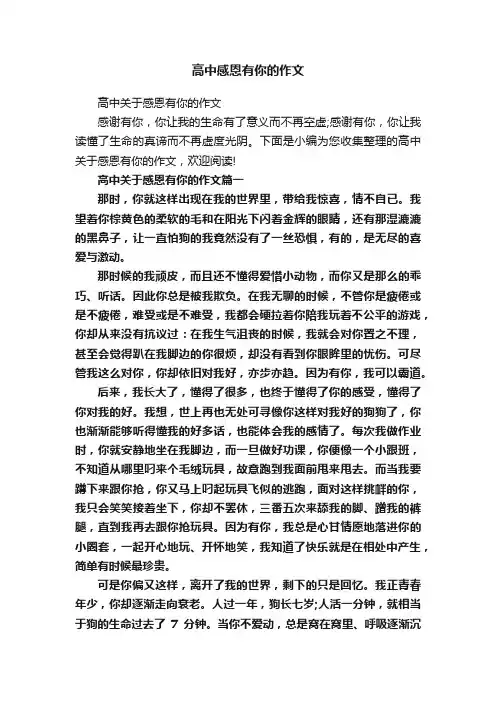 高中感恩有你的作文