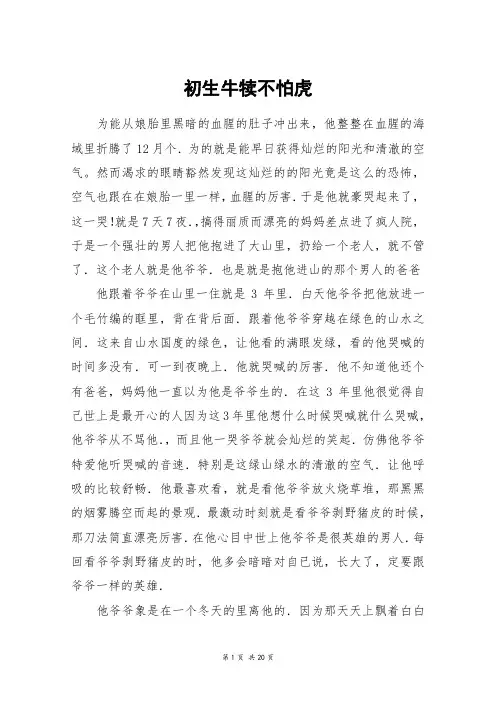 初生牛犊不怕虎_高三作文