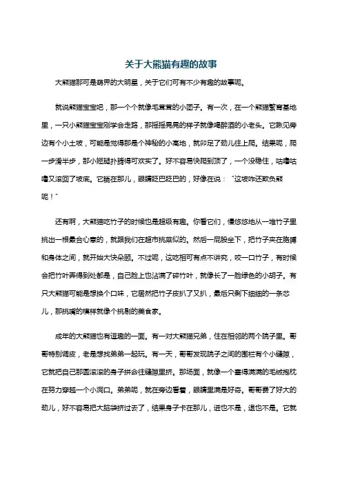 关于大熊猫有趣的故事