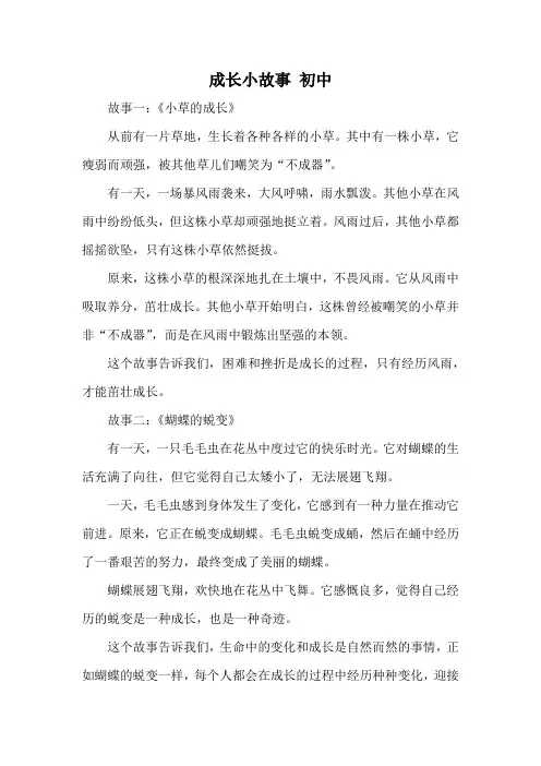 成长小故事初中