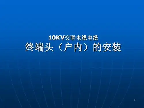 10kv电缆终端头制作讲解PPT演示课件