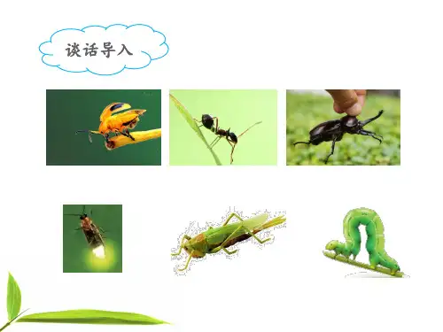 《我是一只小虫子》公开课优质课件