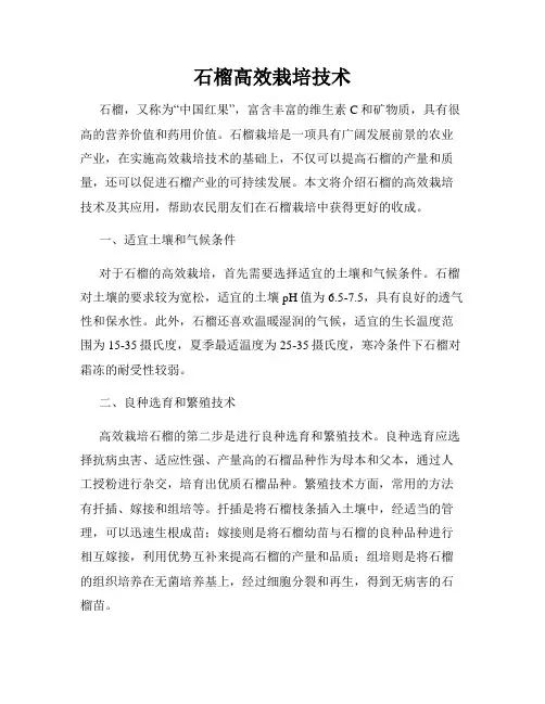 石榴高效栽培技术