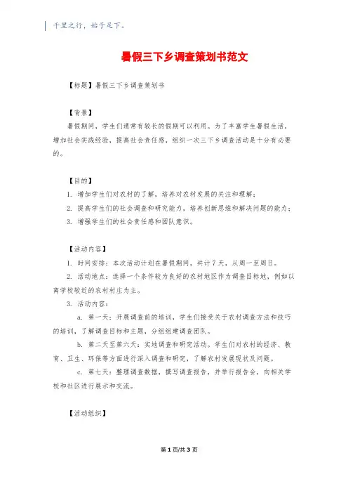 暑假三下乡调查策划书范文