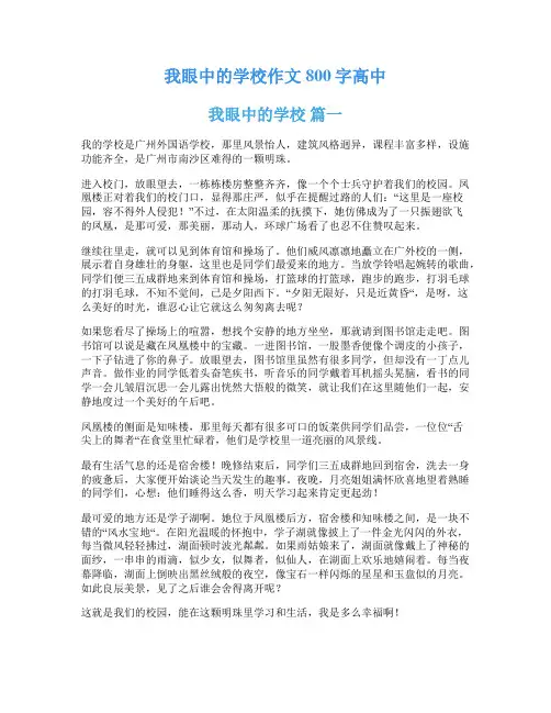 我眼中的学校作文800字高中