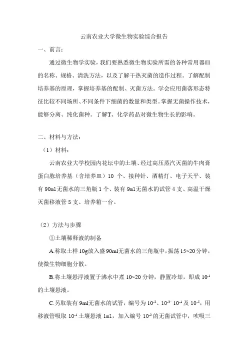 云南农业大学微生物实验综合报告