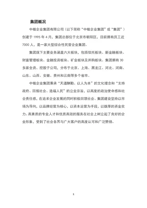 中植集团介绍