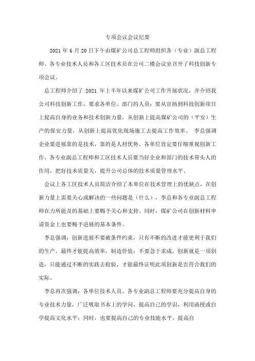 专项会议会议纪要