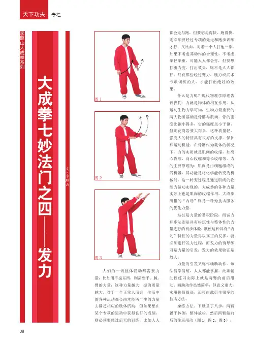 大成拳七妙法门之四——发力