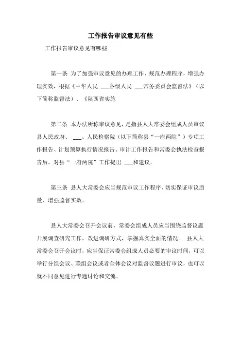 2021年工作报告审议意见有些