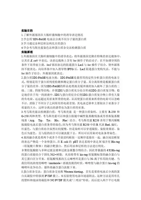 蛋白质的表达、纯化及检测-分子实验报告
