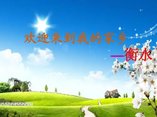 衡水专场
