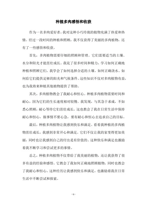 种植多肉感悟和收获