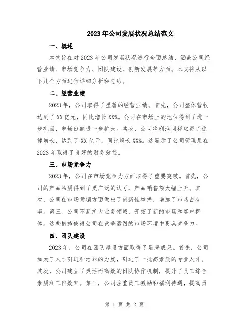 2023年公司发展状况总结范文