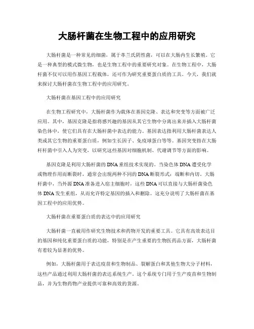 大肠杆菌在生物工程中的应用研究