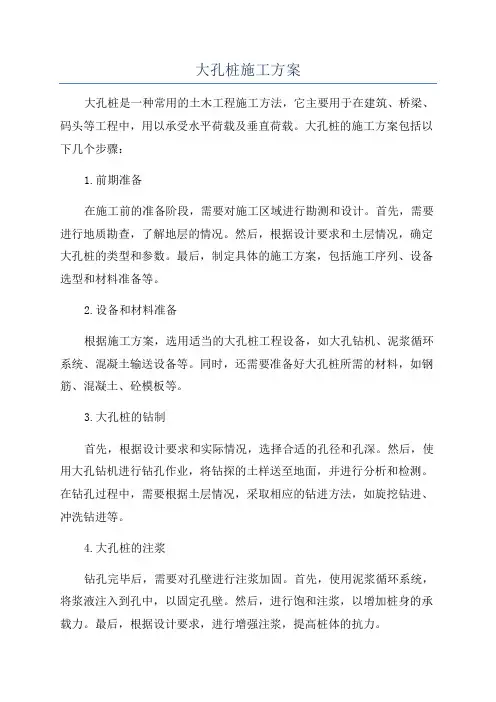 大孔桩施工方案