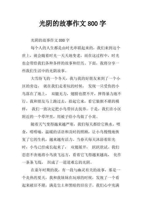 光阴的故事作文800字