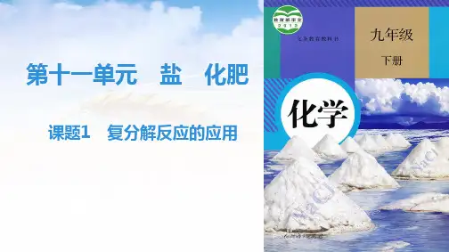 复分解反应的应用复习ppt九年级化学人教版下册