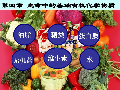 第一节：油脂