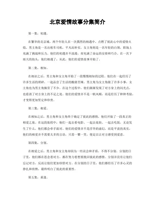 北京爱情故事分集简介