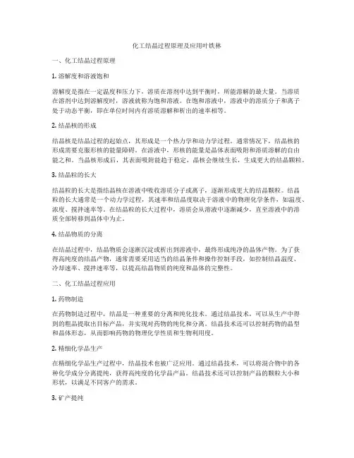 化工结晶过程原理及应用叶铁林