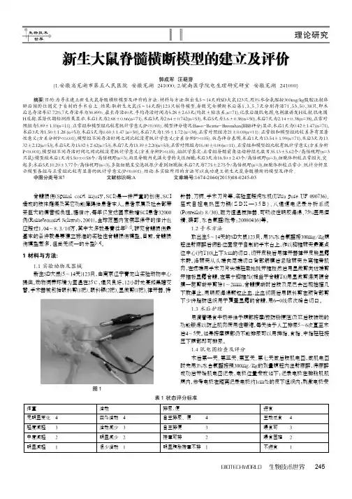 新生大鼠脊髓横断模型的建立及评价
