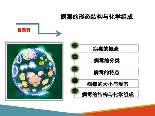 病毒—病毒的形态结构与化学组成(动物微生物课件)