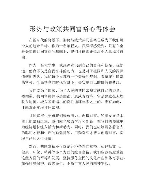 形势与政策共同富裕心得体会