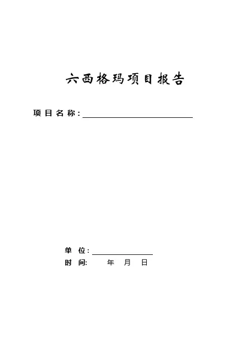 六西格玛项目报告模板