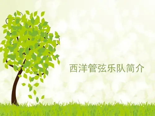 花城出版社广东教育出版社初中七年级下册音乐(简谱)西洋管弦乐队简介_课件1