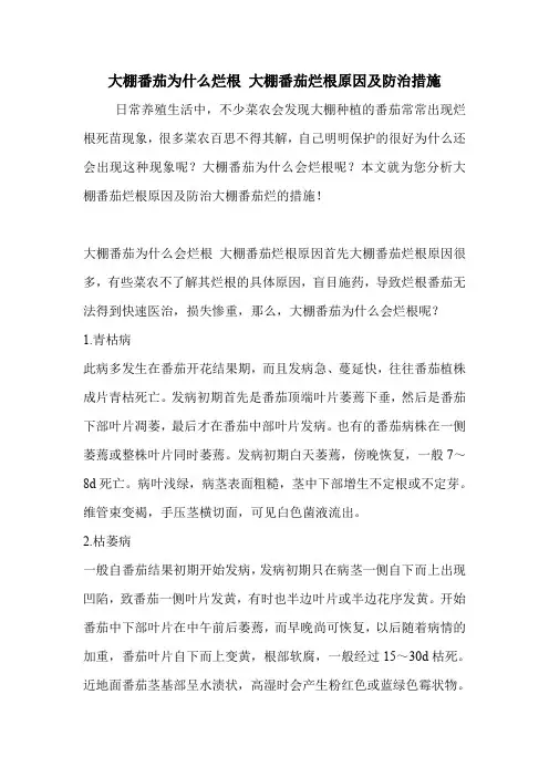 大棚番茄为什么烂根 大棚番茄烂根原因及防治措施