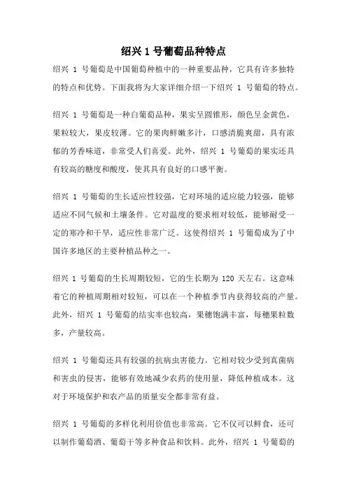 绍兴1号葡萄品种特点