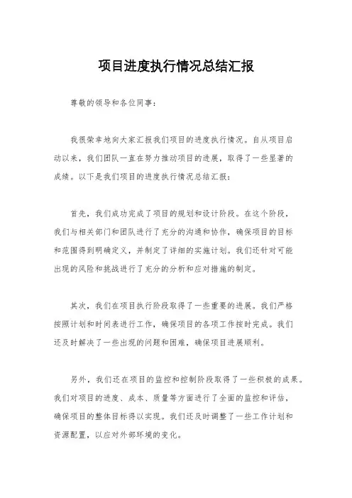 项目进度执行情况总结汇报