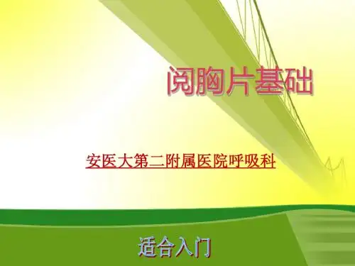 阅读胸片基础