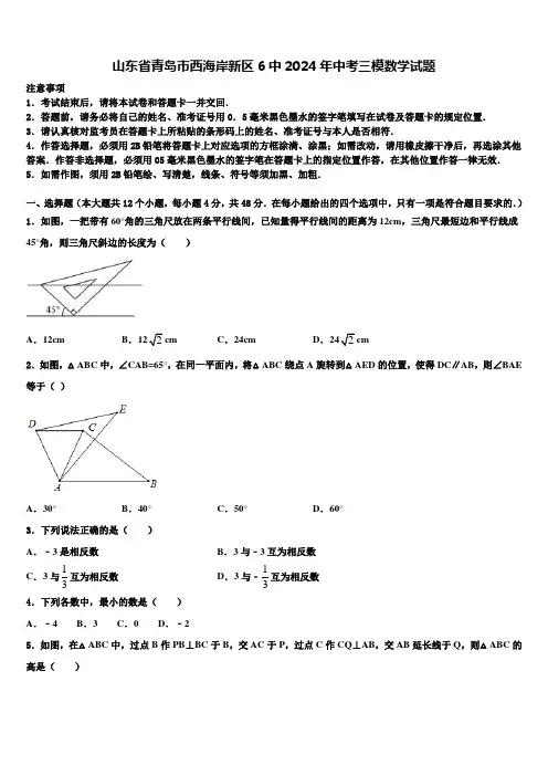 山东省青岛市西海岸新区6中2024届中考三模数学试题含解析