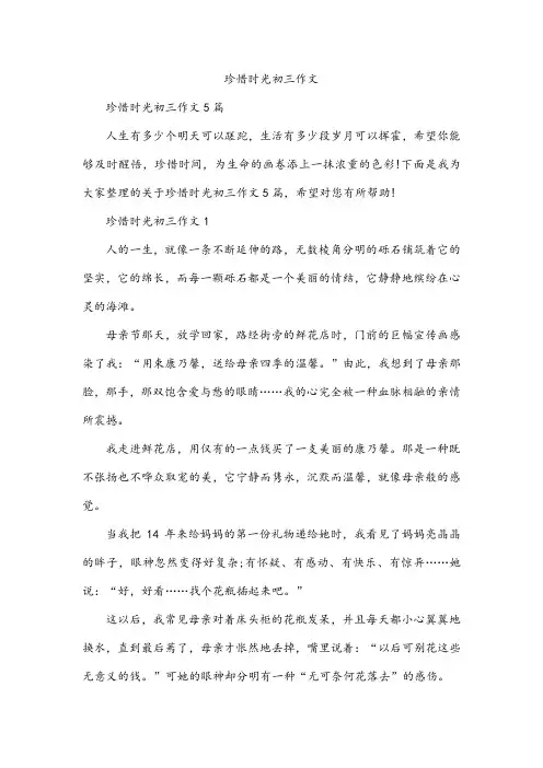 珍惜时光初三作文