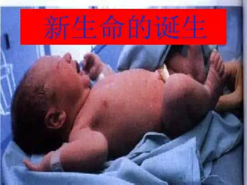 新生命的诞生第一课时