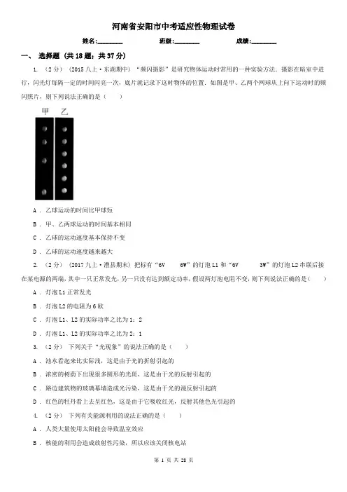 河南省安阳市中考适应性物理试卷