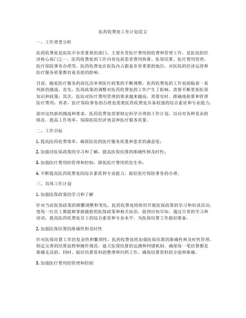 医药收费处工作计划范文