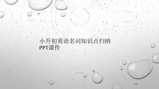 小升初英语名词知识点归纳PPT课件