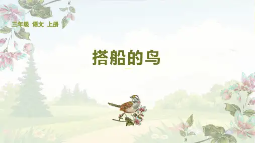 15.《搭船的鸟》课件(共31张PPT)
