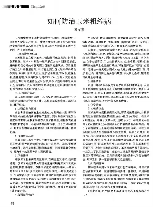 如何防治玉米粗缩病