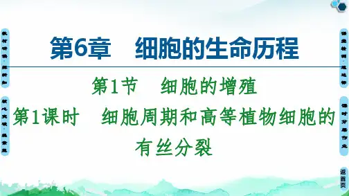 【新教材】细胞周期和高等植物细胞的有丝分裂 课件 【新教材】人教版高中生物必修第一册