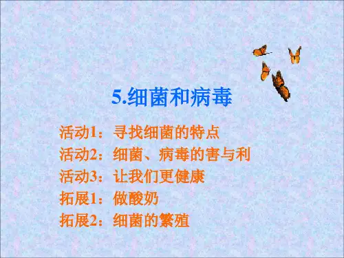 冀教版小学科学六年级上册第五课 细菌和病毒