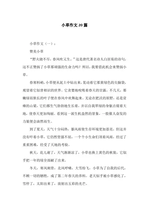 小草作文20篇