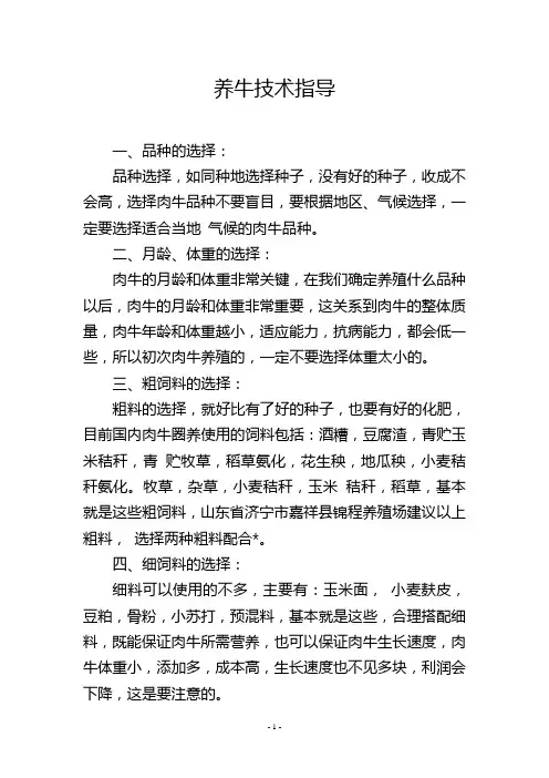 养牛技术指导