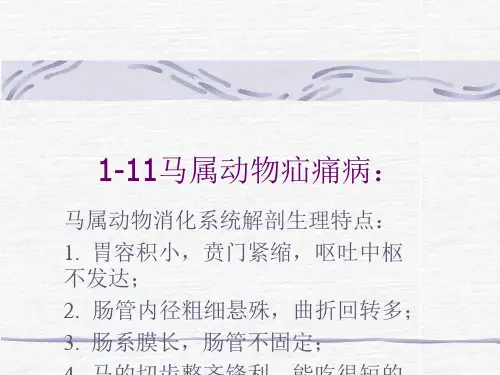 1-11马属动物疝痛病汇总